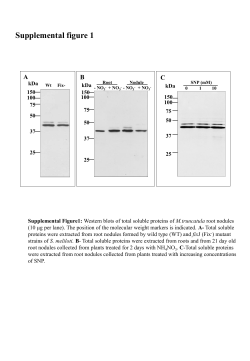 Supplemental figure 1