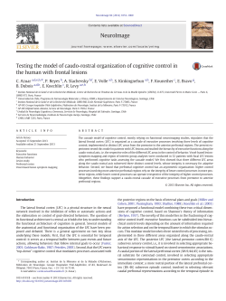 Testing the model of caudo-rostral organization of cognitive control