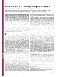 E-box function in a period gene repressed by light
