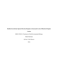 Benthic Invertebrate Species Diversity Response to Increased