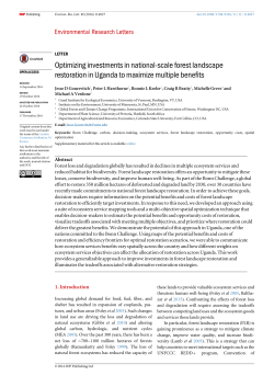 Optimizing investments in national