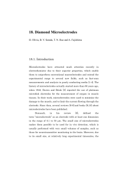 18. Diamond Microelectrode s
