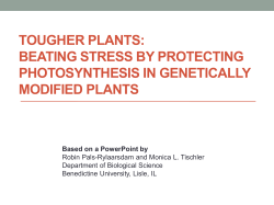 tougher plants: beating stress by protecting photosynthesis in