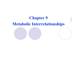 CoA deamination keto acids &rarr; &rarr; Aa Fat The relationship between