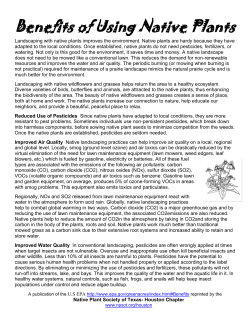 Benefits of Using Native Plants