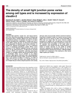 The density of small tight junction pores varies among cell types and