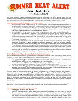 Summer Heat Alert by John Kohnke