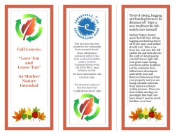 leaves: love `em and leave `