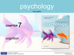 Ciccarelli 7: Cognition