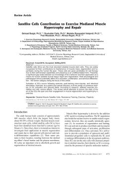 Satellite Cells Contribution to Exercise Mediated Muscle