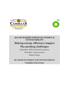 Making energy efficiency happen The pending challenges