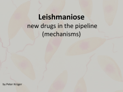 PowerPoint-Pr&auml;sentation