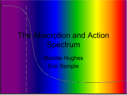 The Absorption and Action Spectrum