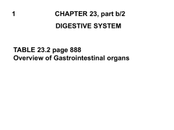 CHAPTER 23 part 1 PPT