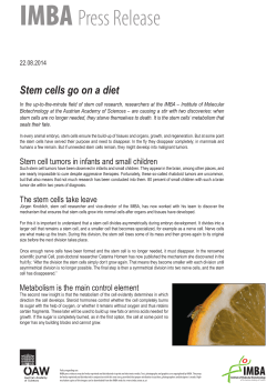 Stem cells go on a diet - Institute of Molecular Biotechnology