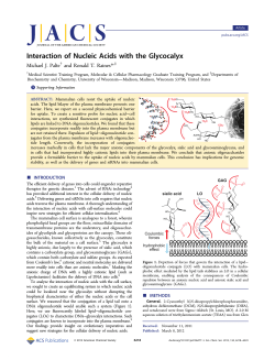 Interaction of Nucleic Acids with the Glycocalyx