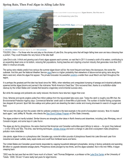 lagae-new-york-times-03-2013-shorter