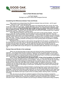 How to Plant Shrubs and Trees - Good Oak Ecological Services