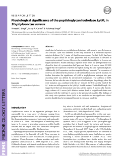Physiological significance of the peptidoglycan hydrolase, LytM, in