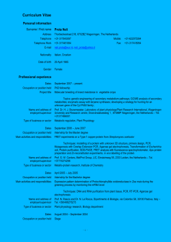 Europass Curriculum Vitae