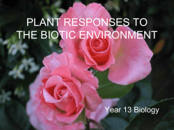 plant responses to the biotic environment
