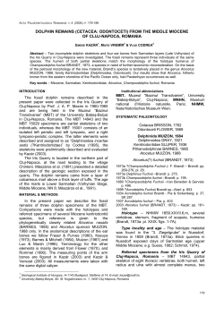 dolphin remains (cetacea: odontoceti) from the middle miocene of
