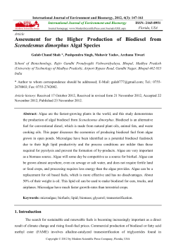 Assessment for the Higher Production of Biodiesel from