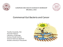Commensal Gut Bacteria and Cancer