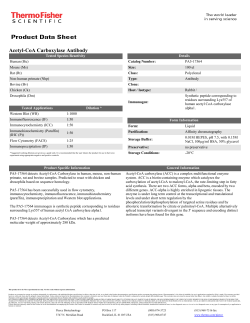 Acetyl-CoA Carboxylase Antibody