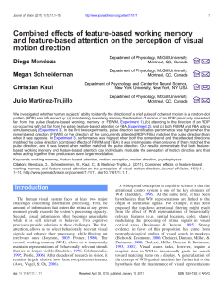 Combined effects of feature-based working memory and feature