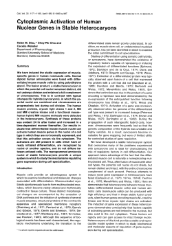 Cytoplasmic Activation of Human Nuclear Genes in Stable