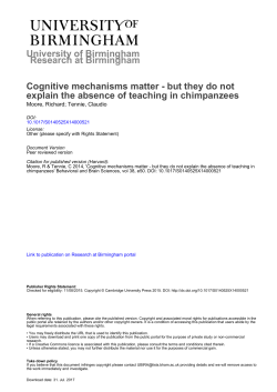 University of Birmingham Cognitive mechanisms matter