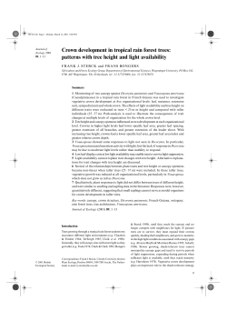Crown development in tropical rain forest trees: patterns with tree