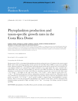 Phytoplankton production and taxon