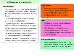 6.1 Digestion and Absorption
