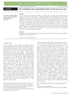 The anatomical and compositional basis of leaf mass per area