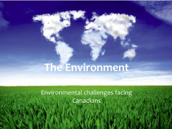 The Environment - MrForbes Socials 11