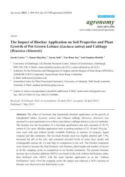 The Impact of Biochar Application on Soil Properties and Plant