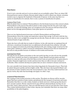Plant Basics If you`re not a microbe and you`re not an animal, you