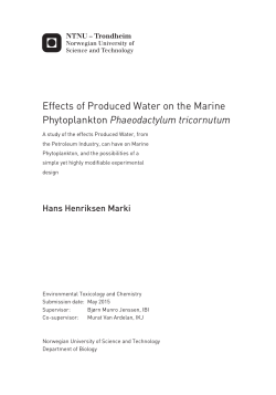 Effects of Produced Water on the Marine Phytoplankton