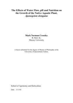 The Effects of Water Flow, pH and Nutrition on the Growth of the