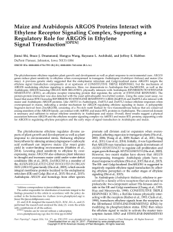 Maize and Arabidopsis ARGOS Proteins Interact