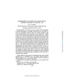 DISSIMILARITY OF INNER AND OUTER PROTO