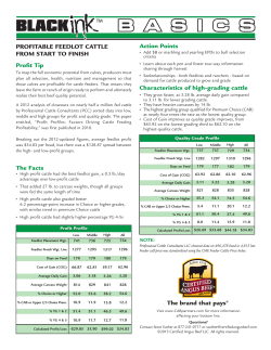 Profitable Feedyard Cattle