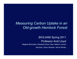 Measuring Carbon Uptake in an Old-growth Hemlock Forest