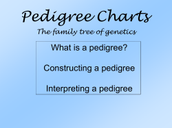 Pedigrees - Humble ISD