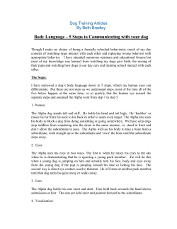 Body Language – 5 Steps to Communicating with