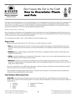 How to Overwinter Plants and Pots