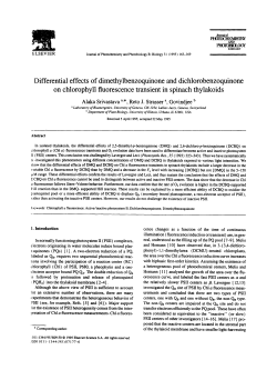 Differential effects of dimethylbenzoquinone and