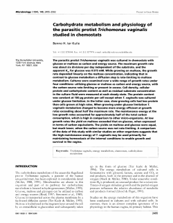 Carbohydrate metabolism and physiology of the